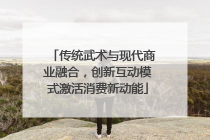 传统武术与现代商业融合，创新互动模式激活消费新动能