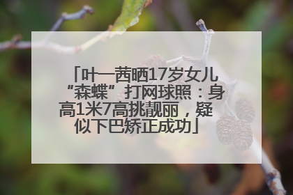 叶一茜晒17岁女儿“森蝶”打网球照：身高1米7高挑靓丽，疑似下巴矫正成功