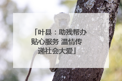 叶县：助残帮办贴心服务 温情传递社会大爱