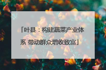 叶县：构建蔬菜产业体系 带动群众增收致富