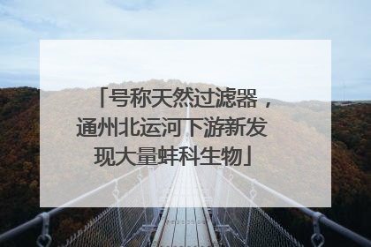 号称天然过滤器，通州北运河下游新发现大量蚌科生物