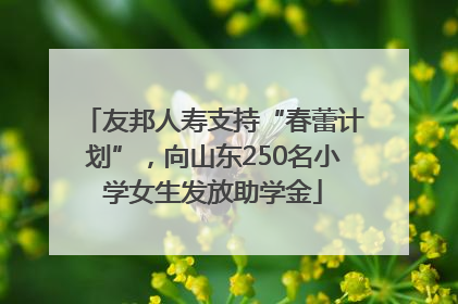 友邦人寿支持“春蕾计划”，向山东250名小学女生发放助学金