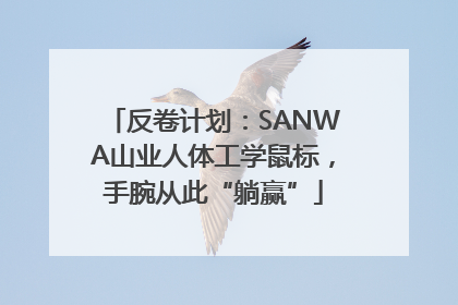 反卷计划：SANWA山业人体工学鼠标，手腕从此“躺赢”