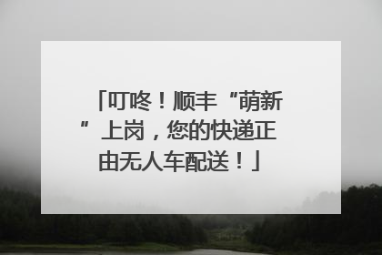 叮咚！顺丰“萌新”上岗，您的快递正由无人车配送！