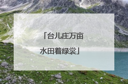 台儿庄万亩水田着绿裳