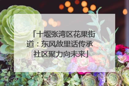 十堰张湾区花果街道：东风故里话传承 社区聚力向未来