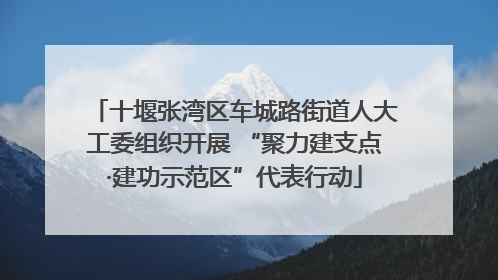 十堰张湾区车城路街道人大工委组织开展 “聚力建支点·建功示范区”代表行动