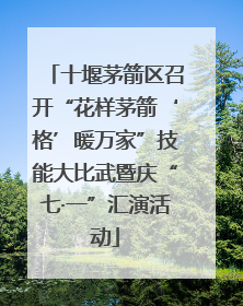 十堰茅箭区召开“花样茅箭‘格’暖万家”技能大比武暨庆“七·一”汇演活动