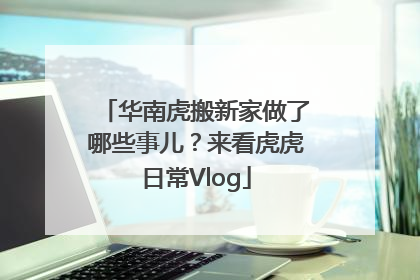 华南虎搬新家做了哪些事儿？来看虎虎日常Vlog
