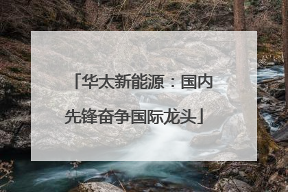 华太新能源：国内先锋奋争国际龙头