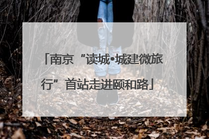 南京“读城•城建微旅行”首站走进颐和路