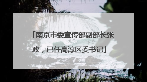 南京市委宣传部副部长张政，已任高淳区委书记