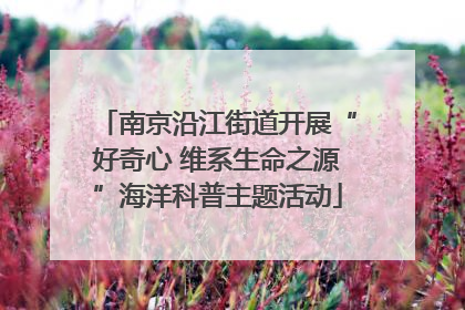 南京沿江街道开展“好奇心 维系生命之源”海洋科普主题活动