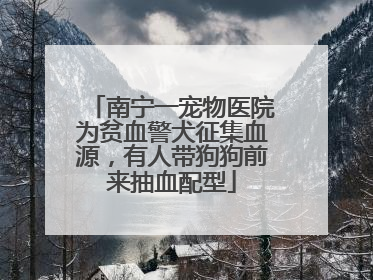 南宁一宠物医院为贫血警犬征集血源，有人带狗狗前来抽血配型