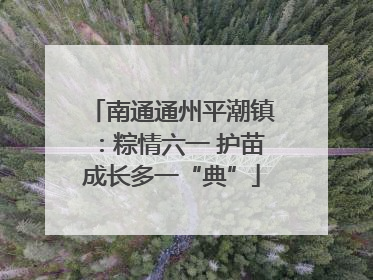南通通州平潮镇：粽情六一 护苗成长多一“典”