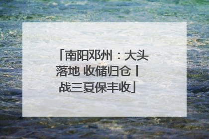南阳邓州：大头落地 收储归仓丨战三夏保丰收