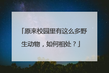 原来校园里有这么多野生动物，如何相处？