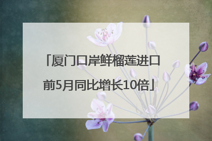 厦门口岸鲜榴莲进口 前5月同比增长10倍