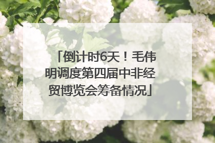 倒计时6天！毛伟明调度第四届中非经贸博览会筹备情况