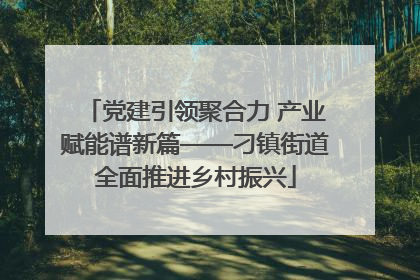 党建引领聚合力 产业赋能谱新篇——刁镇街道全面推进乡村振兴