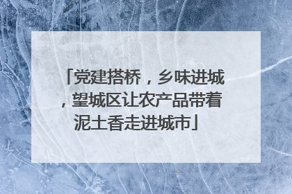 党建搭桥，乡味进城，望城区让农产品带着泥土香走进城市