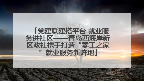 党建联建搭平台 就业服务进社区——青岛西海岸新区政社携手打造“零工之家”就业服务新阵地
