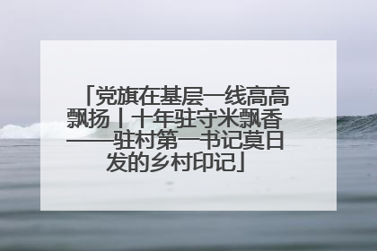 党旗在基层一线高高飘扬丨十年驻守米飘香——驻村第一书记莫日发的乡村印记