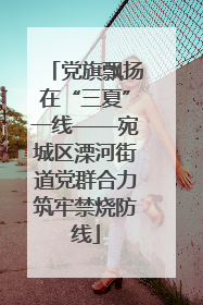 党旗飘扬在“三夏”一线——宛城区溧河街道党群合力筑牢禁烧防线