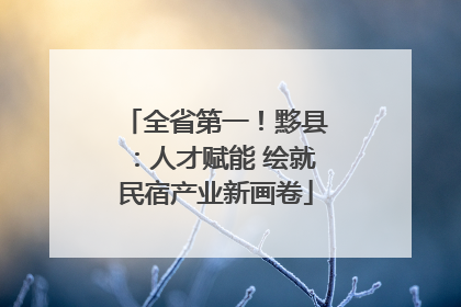 全省第一！黟县：人才赋能 绘就民宿产业新画卷