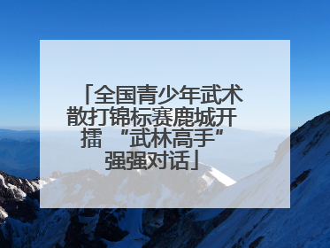 全国青少年武术散打锦标赛鹿城开擂 “武林高手”强强对话