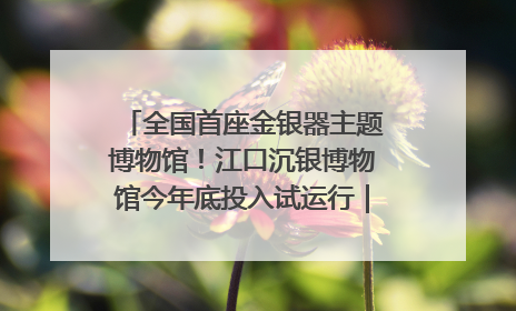全国首座金银器主题博物馆！江口沉银博物馆今年底投入试运行｜万千气象看四川
