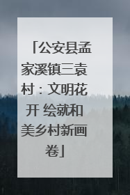 公安县孟家溪镇三袁村：文明花开 绘就和美乡村新画卷