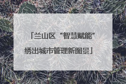 兰山区“智慧赋能”绣出城市管理新图景