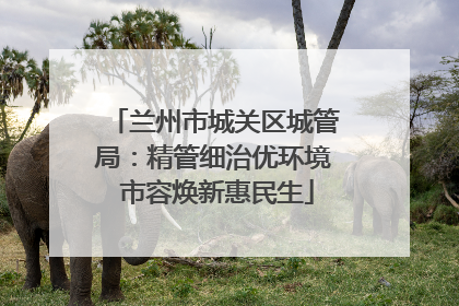 兰州市城关区城管局：精管细治优环境 市容焕新惠民生
