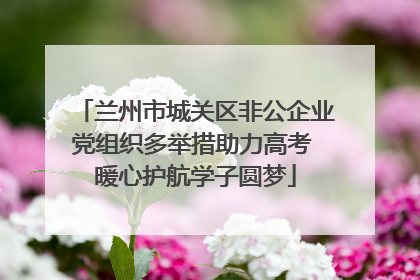 兰州市城关区非公企业党组织多举措助力高考 暖心护航学子圆梦