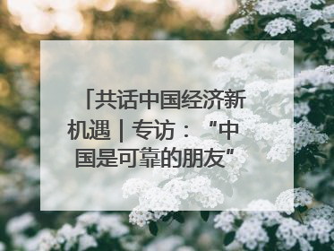 共话中国经济新机遇｜专访：“中国是可靠的朋友”——访马来西亚种植及原产业部副部长陈泓缣