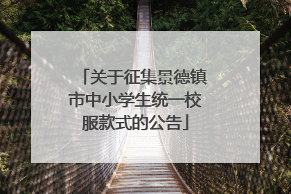 关于征集景德镇市中小学生统一校服款式的公告