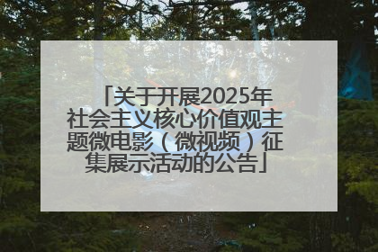 关于开展2025年社会主义核心价值观主题微电影（微视频）征集展示活动的公告