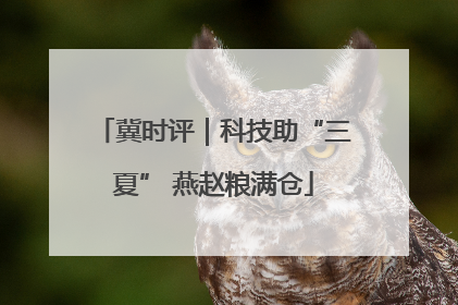 冀时评｜科技助“三夏” 燕赵粮满仓