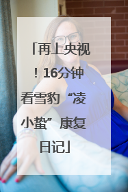 再上央视！16分钟看雪豹“凌小蛰”康复日记