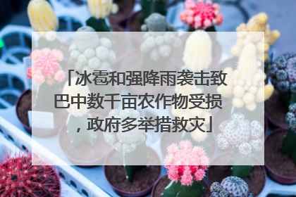 冰雹和强降雨袭击致巴中数千亩农作物受损，政府多举措救灾