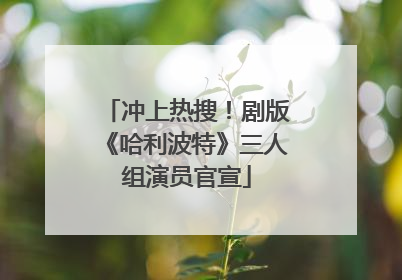 冲上热搜！剧版《哈利波特》三人组演员官宣