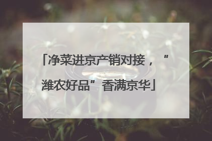净菜进京产销对接，“潍农好品”香满京华