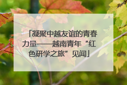 凝聚中越友谊的青春力量——越南青年“红色研学之旅”见闻