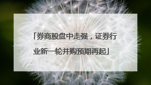 券商股盘中走强，证券行业新一轮并购预期再起
