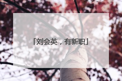 刘会英，有新职