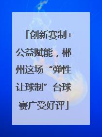 创新赛制+公益赋能，郴州这场“弹性让球制”台球赛广受好评