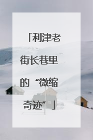 利津老街长巷里的“微缩奇迹”