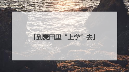 到麦田里“上学”去