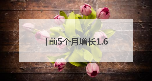 前5个月增长1.6倍 随州专用汽车加速“驶向”全球新蓝海
